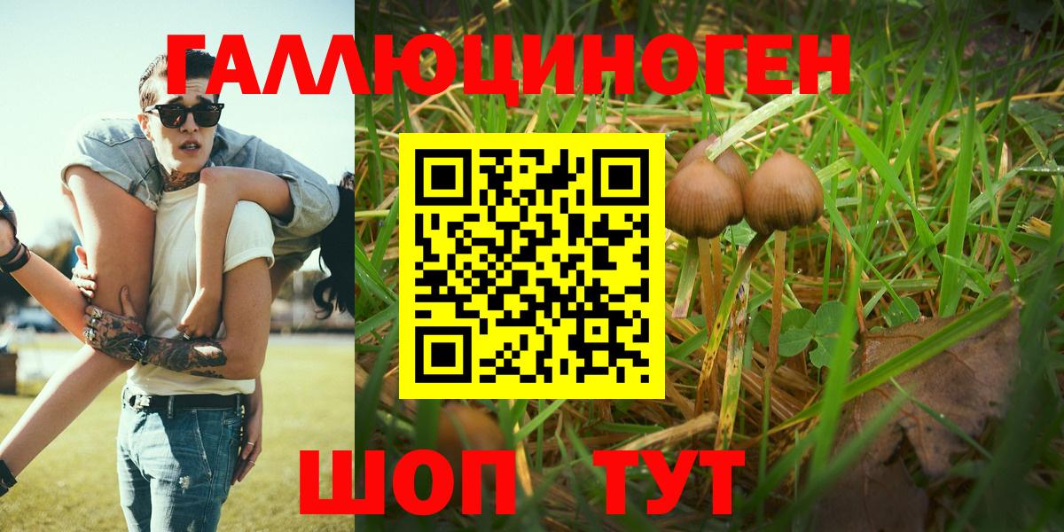 Псилоцибиновые грибы GOLDEN TEACHER Саратов