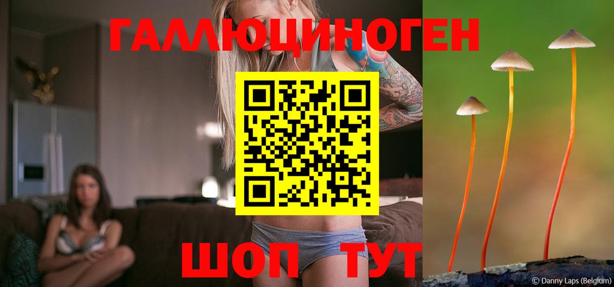 Псилоцибиновые грибы мухоморы  Вход с VPN  что такое   Саратов 